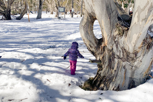 Tony Wright’s granddaughter Charlie in Victoria’s high country.