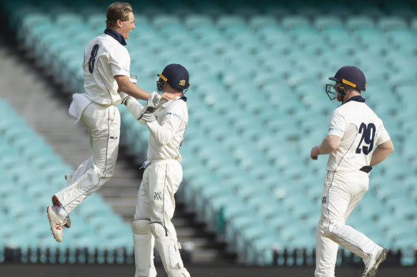 Victoria's Wil Parker celebrates after taking the wicket of Moises Henriques on day two. 