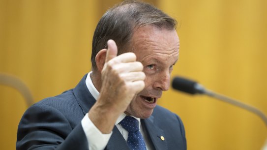Former prime minister Tony Abbott during a hearing on the Voice to Parliament.