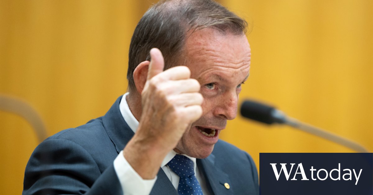 Nemesis ABC: Tony Abbott snubs doco, hosts work drinks instead - Vimarsana News