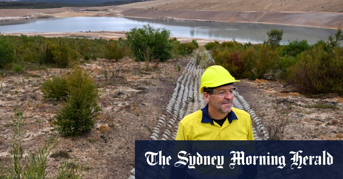 Anglesea coal mine: Flora and fauna slowly retake former coal mine on Great Ocean Road - Vimarsana News