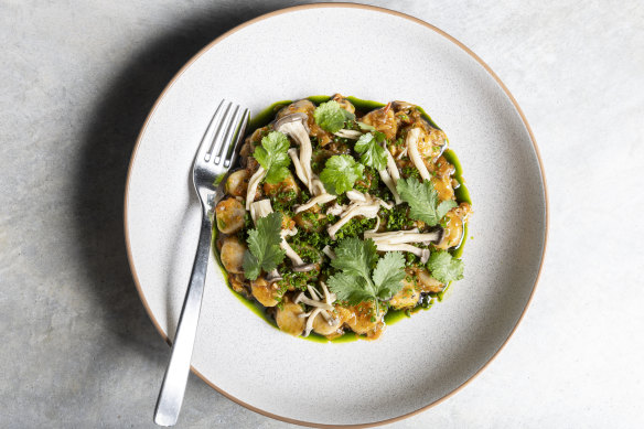 Buckwheat “gnocchi” with mushroom ragu.