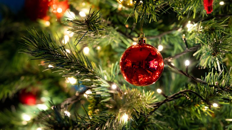 O Christmas tree, I’d stuff you in the green bin. Now sing that, Mariah Carey