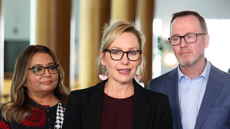 Greens will not support hate speech bill in current form