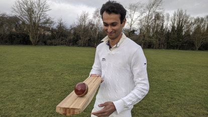 Howzat for innovation? Researchers say bamboo cricket bats could replace willow