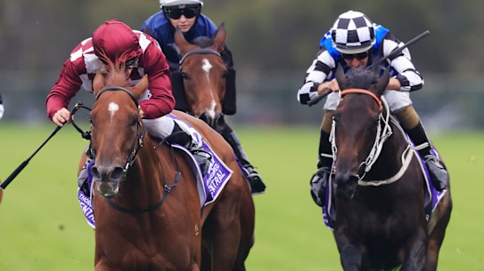 Tim Clark gets Shihonka (left) home at Rosehill on Saturday.