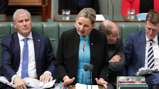 Federal Environment Minister Sussan Ley. 