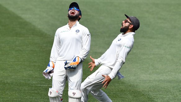 No laughing matter: Rishabh Pant (left) and Virat Kohli celebrate the dismissal of Australia's Marcus Harris.