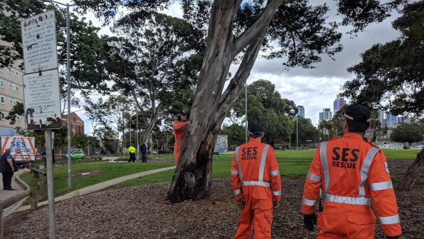 SES volunteers discovered a 30-centimetre kitchen knife in a bush outside Park Towers after Ms Stephens' death.