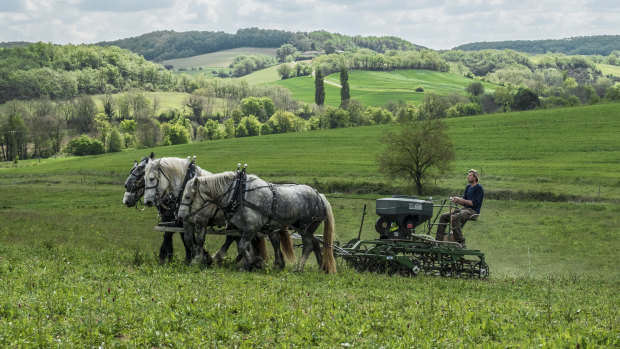 Musician Andy Cato works his fields.