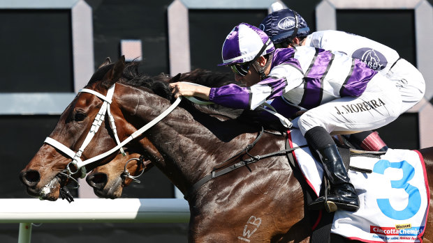 Lindermann wins  with Joao Moreira in the saddle Spring Champion Stakes day.