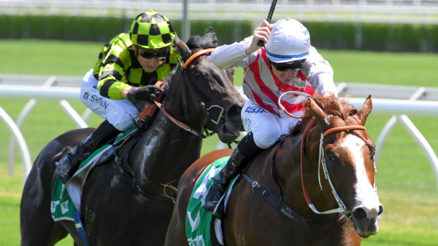 Team Hawkes have high hopes for the resuming Trope, which steps out at Randwick today.