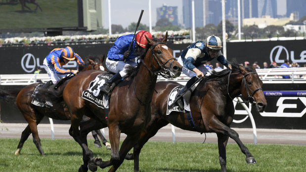 Slather and whack: The whips were cracking at the finish of the Melbourne Cup.