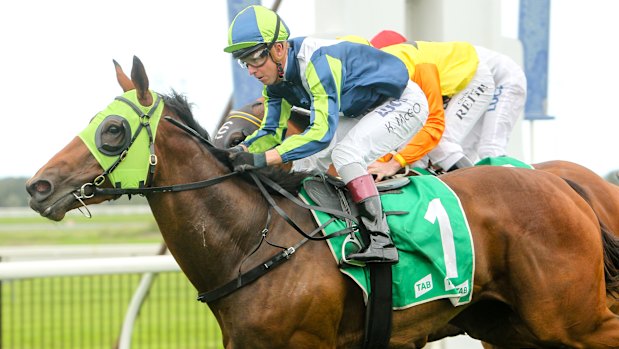 Luvaluva tackles Saturday's $1 million The Gong at Kembla Grange for John Sargent.