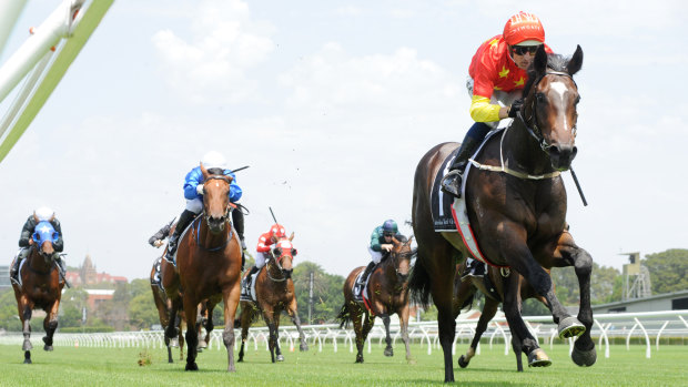 Doing it easy: Hightail clears out to win at Randwick on Saturday.