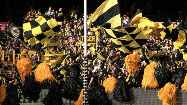 A Richmond supporter was removed from Marvel Stadium after calling an umpire a "green maggot". Others claim homophobic words may have been used. 