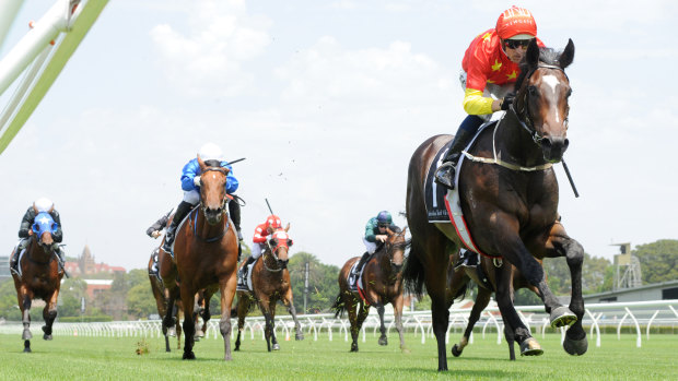 Hightail needs to win the Black Opal to get a spot in the Golden Slipper.