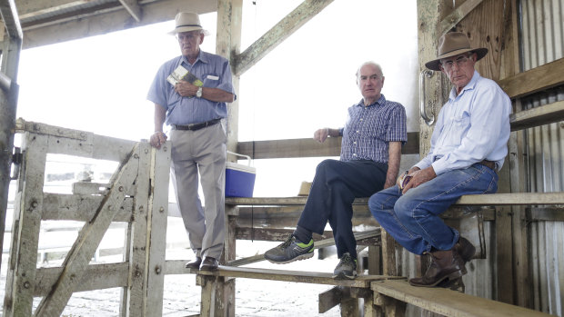 Cattle buyer John Lee, Bindaree Beef Group director John McDonald  and cattle buyer Michael McMahon during cattle sales in Lismore.