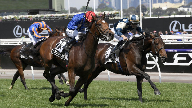Marmelo (right) finishes second to Cross Counter in this year's Melbourne Cup.
