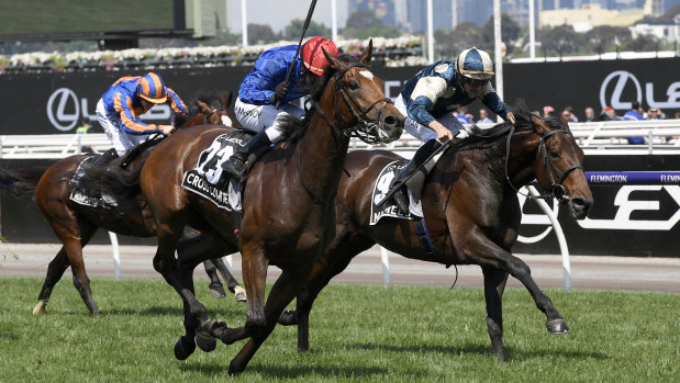 Cross Counter storms home in this year's Melbourne Cup.