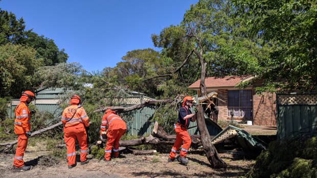 ACT SES crews respond to a fallen tree that that destroyed a fence in Lyneham during the damaging storms on Friday.