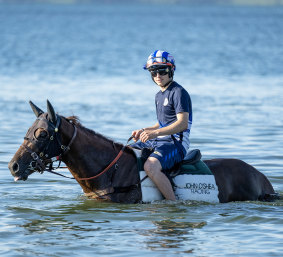 England’s champion apprentice Benoit De La Sayette rides one of John O’Shea horses in Botany Bay this week.