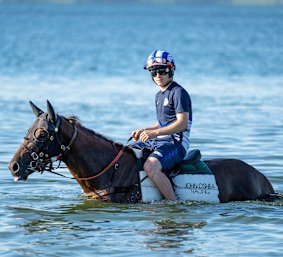England’s champion apprentice Benoit De La Sayette rides one of John O’Shea horses in Botany Bay this week.