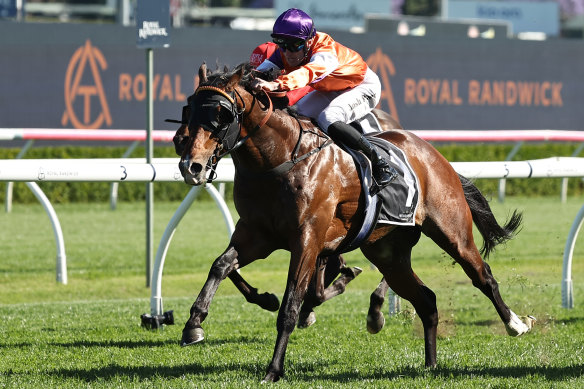 El Castello, trained by Anthony Cummings, races at Randwick in October.