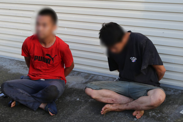 Detectives have charged four people, including the alleged director of a criminal syndicate, and seized cannabis worth nearly $6 million following a targeted police operation across Sydney.