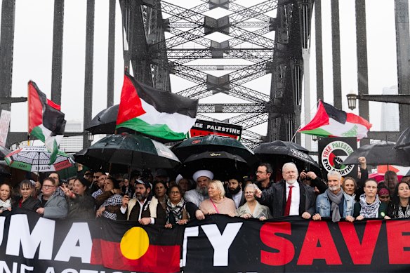 Pro-Palestine protesters march across the Sydney Harbour Bridge on August 3.