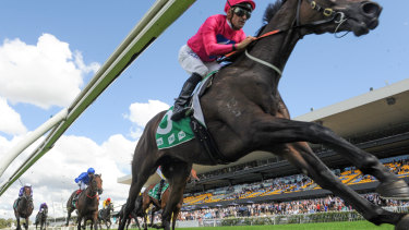 Super effort: Angel Of Truth provided a magical highlight for the Superhorse Syndicate in the Australian Derby.