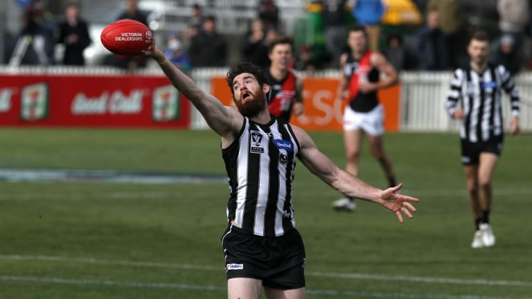 Handy boost: Collingwood's 2010 Premiership defender says he has proven himself ready for a return after two weeks of VFL action.