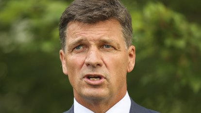 Angus Taylor favourite to be shadow treasurer under Dutton