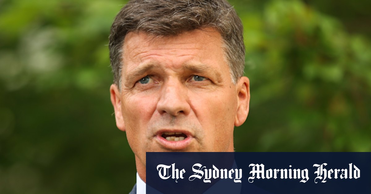 Election 2022: Angus Taylor favourite to be shadow treasurer under Peter Dutton - Vimarsana News