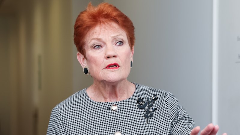 Five days on, Hanson faces questions over articulation of migration policy