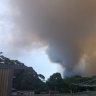 Police to investigate as South Coast national park fire treated as suspicious