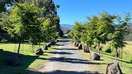 An avenue of maples in Jamieson, Victoria opened in 2022 to commemorate the local men and women who sacrificed their lives in World War 1