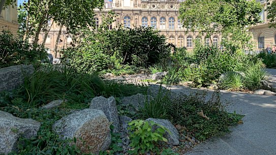 The new memorial garden combines chunky rock and Mediterranean plants