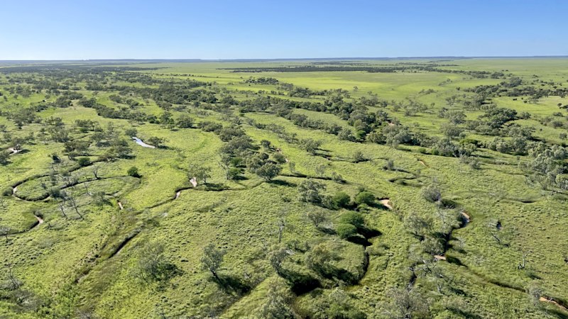 Cattle baron Sterling Buntine puts $20m central Qld run up for grabs
