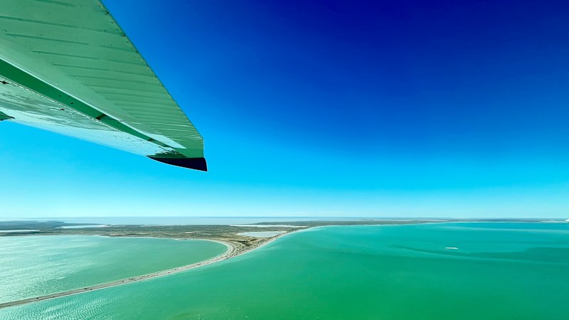 A rare opportunity to see the desert become the sea