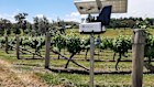 BioScout units are installed on farms and vineyards across Australia, New Zealand and internationally.