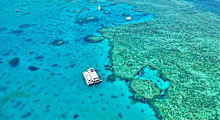 Find that holiday feeling at Lady Musgrave Island, where the reef glows and good times flow. 