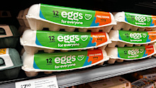 Supermarket eggs and chicken 'safe to eat'.