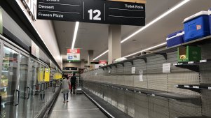 pet steps reject shop