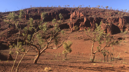 Fortescue escapes fine for WA Aboriginal heritage breach