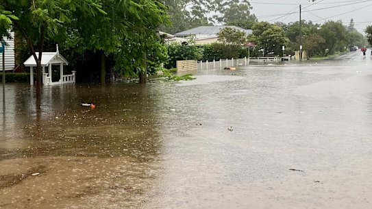 Experts believe much of the water which inundated suburbs like Chelmer was stormwater runoff, rather than water coming up from the Brisbane River, which was held at bay by backflow prevention devices.