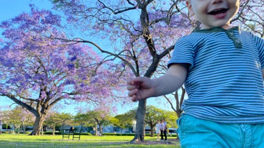 Brisbane Times editor Rosie Ryan snaps her son with the jacarandas in New Farm Park.