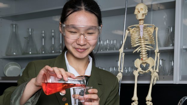 It helps to refine your study notes for science subjects.