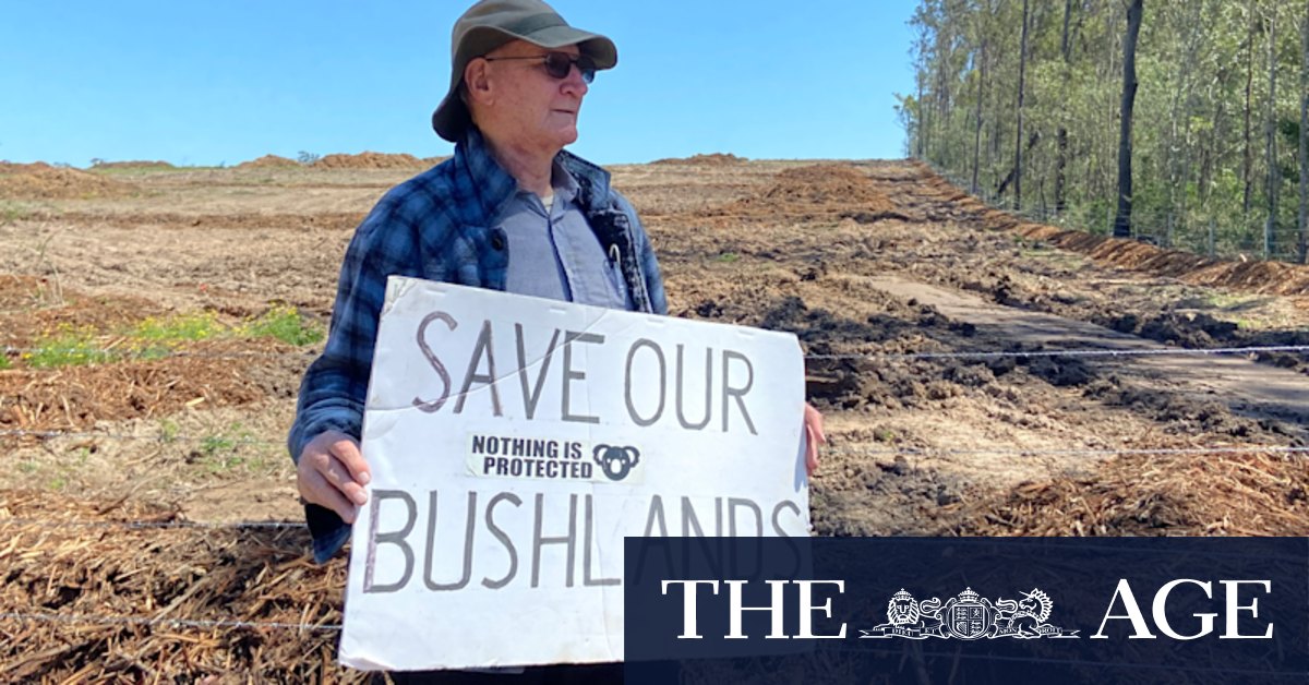 Qld environment minister powerless to object to land clearing in priority zones - Vimarsana News