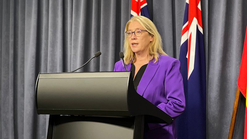 Budget update suggests WA households living the good life as iron ore royalties fly out the door